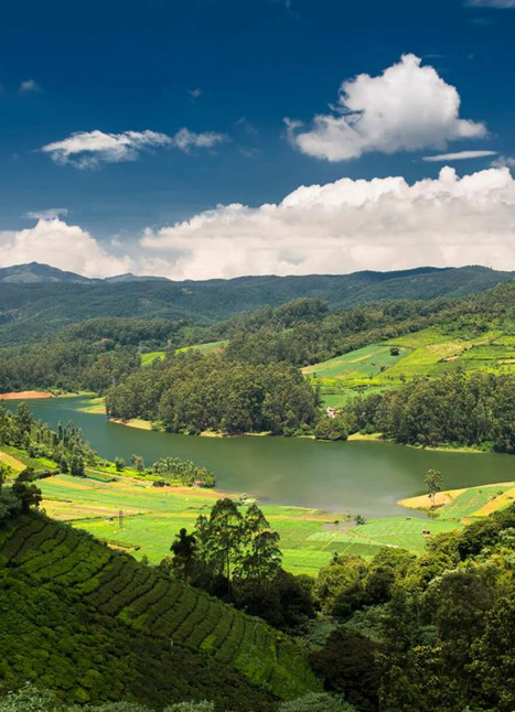 ooty picture